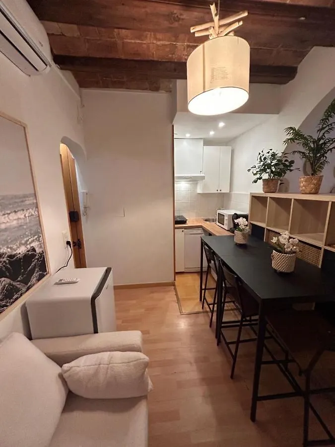Hgc Barcelona Apartment